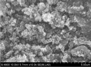 无序介孔碳 Disordered Mesoporous