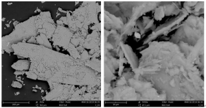 巨纳黑磷粉末（500mg）Black Phosphorus-Powder